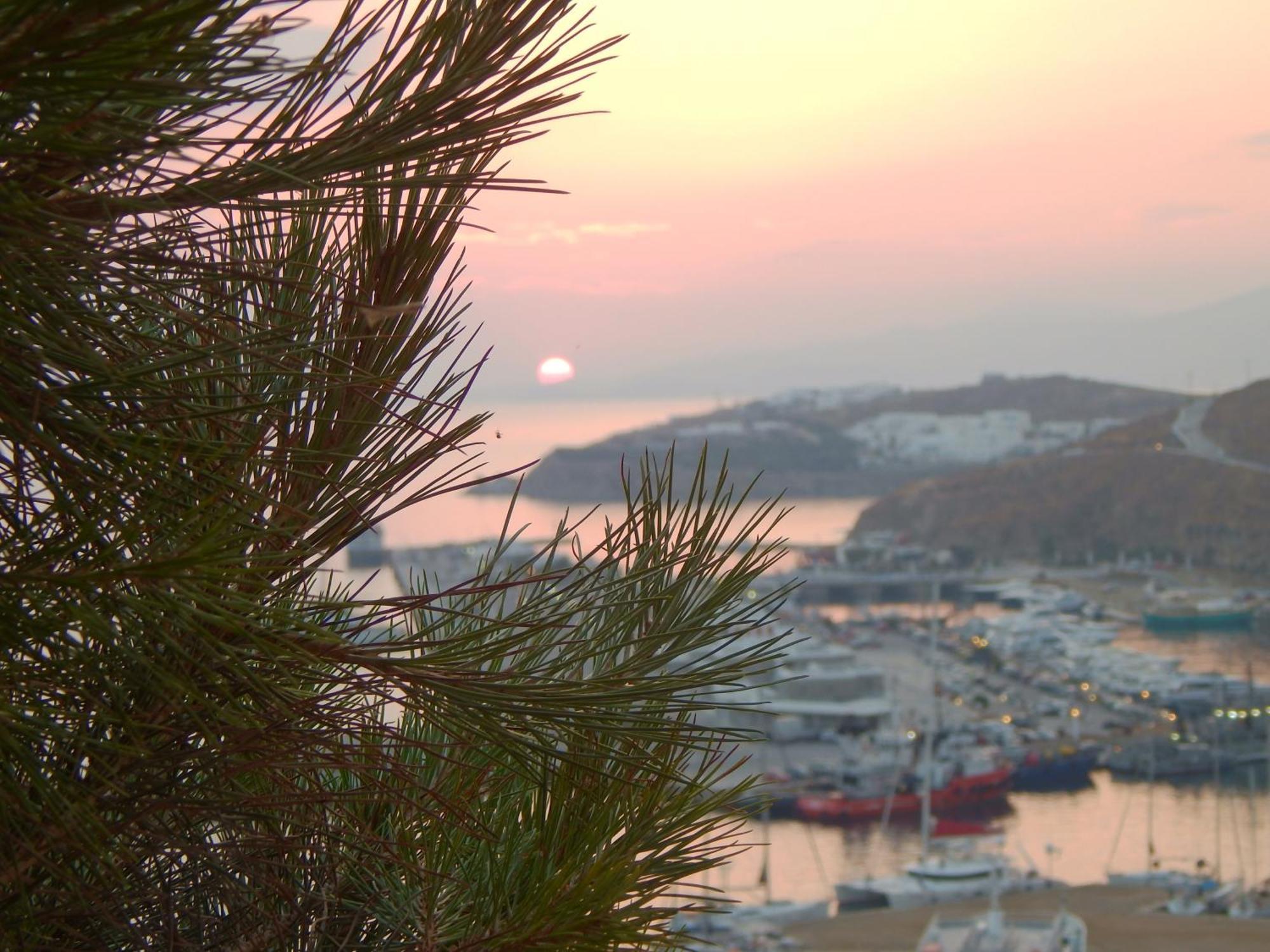 Villa Oceania Τούρλος Εξωτερικό φωτογραφία